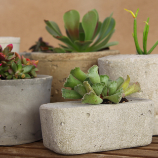 Illustration for article titled How to Make a Cool Concrete Planter of Your Own